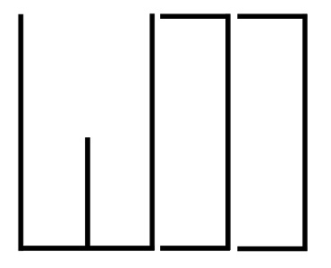 W Design and Development